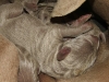 DSCF3124_800